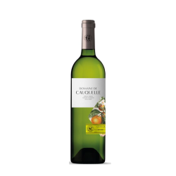 Sauvignon Blanc - IGP Côtes du Lot